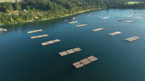 Wide-establishing-aerial-view-of-the-Penn-Cove-Mussel-docks-off-the-Whidbey-Island-shores