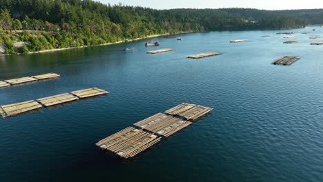 Drone-shot-of-mussel-farms-in-Penn-Cove-on-Whidbey-Island