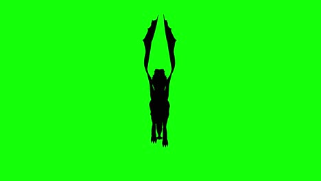 Silhouette-of-a-fantasy-creature-monster-dragon-flying-on-green-screen,-front-view