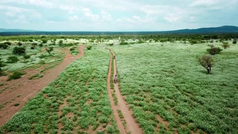 Travelers-Riding-Motorcycles-In-A-National-Park-In-Kenya---aerial-drone-shot