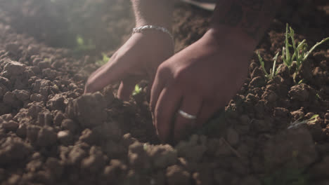 Close-up-shot-of-latin-hands-digging-up-soil-to-plant-a-small-plant-with-sunbeams