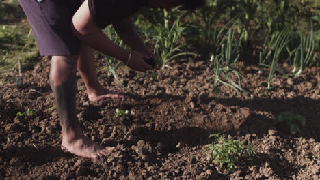 Medium-shot-of-a-latin-man-preparing-the-soil-in-his-vegetable-garden-for-planting-on-sunset