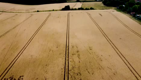 Drone-shot-of-tractor-tracks-on-a-wheat-field