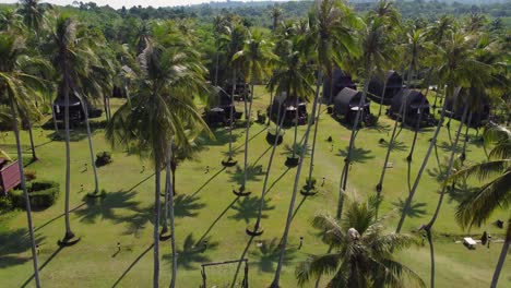 A-drone-shot-of-a-stunning-and-tropical-resort-with-palm-trees-and-charming-bungalows,-on-a-clear-blue-day-on-the-Island-of-Koh-Kood-in-Thailand