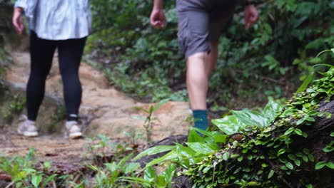 Two-people-are-trekking-in-the-middle-of-the-jungle-in-Khao-Sok-National-Park-in-Thailand-in-Asia