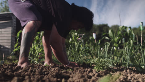 Latin-man-crouched-down-in-a-vegetable-garden-preparing-the-soil-to-cultivate-plants-at-daylight