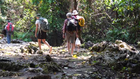 4-Personen-Wandern-Mitten-Im-Dschungel-Des-Sai-Yok-Nationalparks-In-Thailand-In-Se-Asien