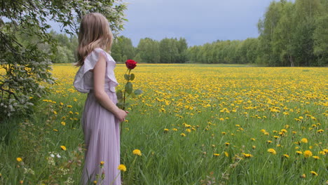 Caucasian-child-girl-in-pink-dress-holding-a-rose-at-wildflowers-blooming-meadow,-Panning-shot