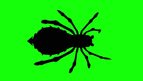 Silhouette-of-a-fantasy-creature-monster-spider-walking-on-green-screen,-top-view