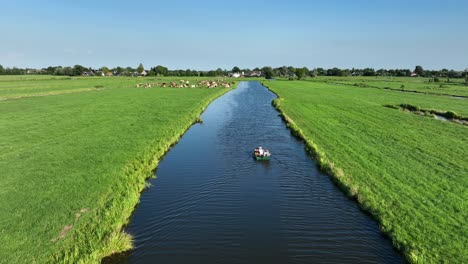Medium-aerial-view-of-a-small-motorboat-cruising-in-a-canal-with-houses-and-cattle-in-the-background-on-a-bright-clear-sunny-day,-Netherlands