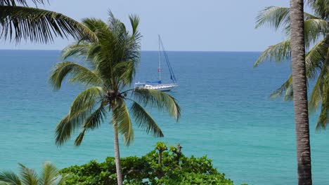 Eine-Schöne-Aufnahme-Einer-Palme-Und-Eines-Charmanten-Segelboots-Im-Hintergrund-Mit-Blick-Auf-Das-Meer-Von-Thailand-In-Südostasien-An-Einem-Klaren-Blauen-Tag