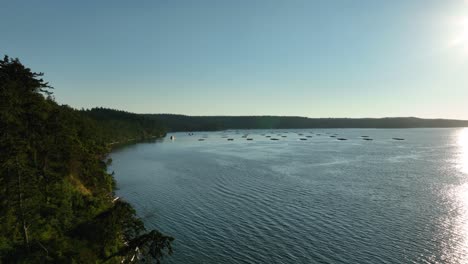 Wide-aerial-shot-of-Penn-Cove-with-mussel-farm-docks-off-in-the-distance-at-sunset