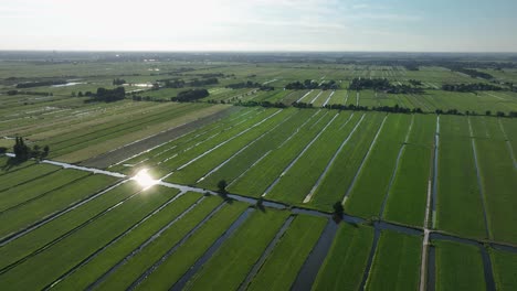 Wide-high-aerial-view-of-parallel-canal-and-irrigation-ditches-in-a-polder,-with-many-small-slagenlandschap-in-this-low-lying-area-of-the-Netherlands