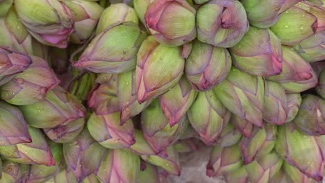 Auf-Dem-Markt-Mallik-Bazar-Oder-Jagannath-Ghat-Wird-Ein-Strauß-Lotusblumen-Verkauft-1
