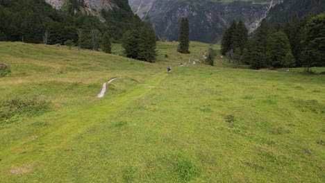 Push-in:-drone-aerial-view-of-a-flat-green-meadow-in-the-swiss-alps-next-to-fir-trees-forest,-Obwalden,-Engelberg