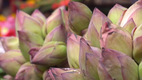 Auf-Dem-Markt-Mallik-Bazar-Oder-Jagannath-Ghat-Wird-Ein-Strauß-Lotusblumen-Verkauft