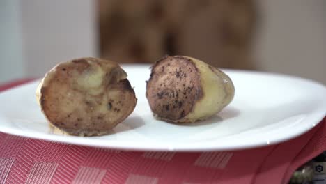 Two-pieces-of-cooked-potatoes-on-a-plate