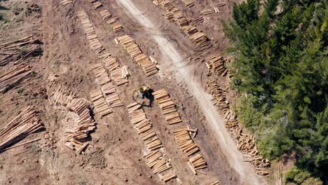 Heavy-machine-stacking-wood-logs-on-woodpile-in-clearcutting-area,-logging-industry-concept,-aerial