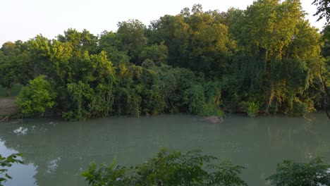 Drone-flying-through-trees-over-Guadalupe-River