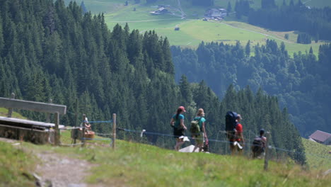 A-family-is-walking-down-the-mountain-in-the-swiss-alps-on-a-green-meadow-next-to-a-fir-forest