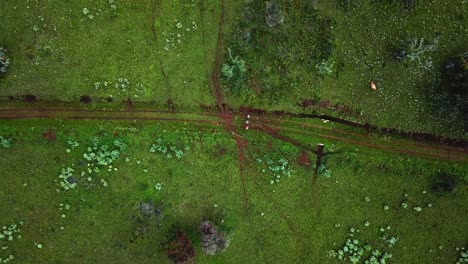 Top-down-ansicht-Von-Menschen,-Die-Auf-Einer-Malerischen-Landschaft-Spazieren-Gehen-Und-Den-Berg-Elgon-In-Kenia-Besteigen---Drohnenaufnahme