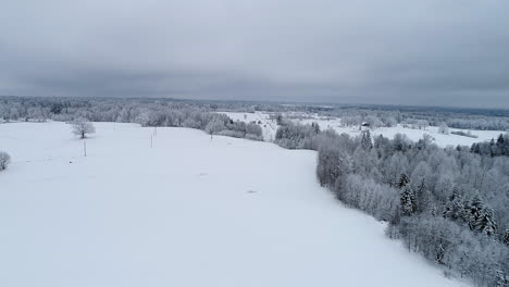 Aerial-drone-forward-moving-shot-across-white-snow-covered-landscape-with-coniferous-trees-on-a-cloudy-day