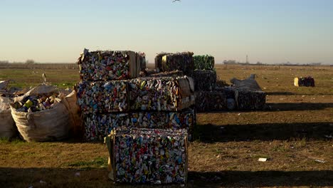 Graukopfmöwen-überfliegen-Verdichteten-Abfall-In-Einer-Abfallverarbeitungsanlage