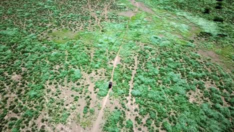 Luftaufnahme-Eines-Motorrads,-Das-Durch-Wilde-Vegetation-Im-Afrikanischen-Wald-In-Der-Nähe-Des-Magadi-Sees-Fährt