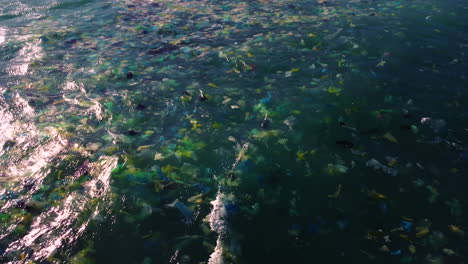 Colour-plastic-disposable-bags-float-on-ocean-surface,-marine-pollution-concept