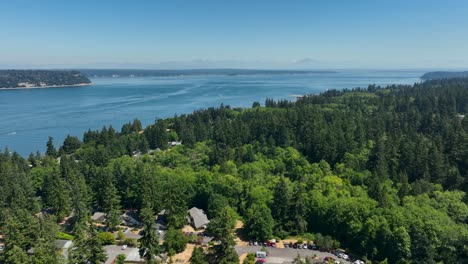 Wide-aerial-view-from-Langley,-Washington-showing-the-vastness-of-the-ocean-amongst-a-lush-forest-of-evergreen-trees