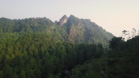 Wald-Und-Hügel-Mit-Leicht-Nebligem-Wetter-Am-Morgen-Auf-Dem-Menoreh-hügel,-Magelang,-Indonesien