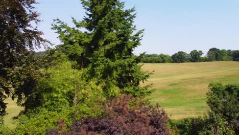 Panning-Drohne-Luftaufnahme-An-Bunten-Bäumen-Vorbei,-Um-Verbrannte-Grüne-Felder-Zu-Enthüllen,-Dorset,-Großbritannien,-4k