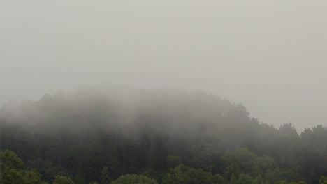 Zeitraffer-Von-Nebel-Oder-Wolken,-Die-An-Einem-Herbstabend-Durch-Die-Bäume-In-Den-Oakland-Hügeln-Wehen