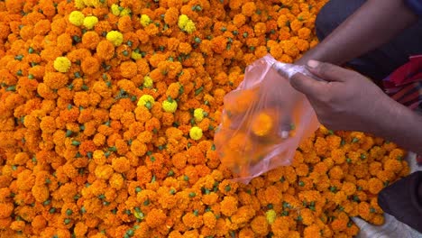 The-collected-marigold-flowers-are-brought-to-the-market-for-sale