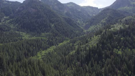 Aerial-View-Of-Wasatch-Mountains-In-American-Fork-Canyon,-Utah-During-Summer---drone-shot