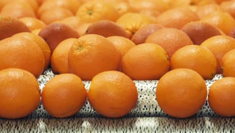 Oranges-rolling-on-grading-and-sorting-machine-in-industrial-packaging-plant