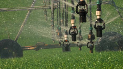 Close-up-of-sprinkler-nozzles-spraying-water-on-green-crops,-Center-Pivot-Irrigation