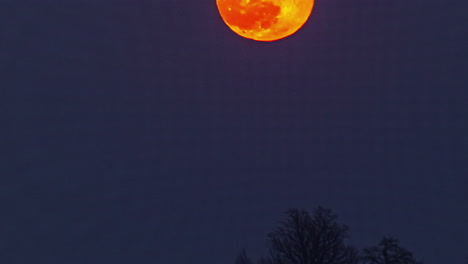 Timelapse-of-the-moon-in-a-crimson-hue-ascending-towards-the-sky-from-the-ground