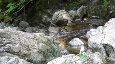 Die-Ruhe-Des-Flusses-Und-Des-Wassers-Bringt-Freude-Zur-Meditation-Auf-Den-Felsen-In-Der-Nähe