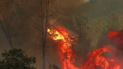 Mediterranean-Heatwave,-forest-fires-spreading-rapidly-in-the-European-woodlands