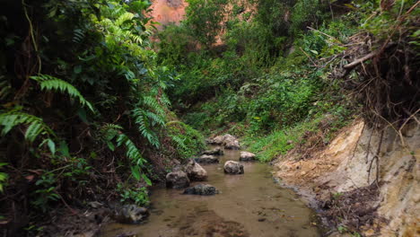 A-small-stream-of-water-flowing-between-a-ravine-of-vegetation-in-a-jungle-in-Vietnam