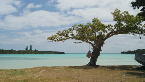 Eine-Malerische-Lagune-Auf-Der-Insel-Des-Tropischen-Paradieses-Der-Kiefern-Mit-Einem-Bonsai-ähnlichen-Baum-Am-Strand