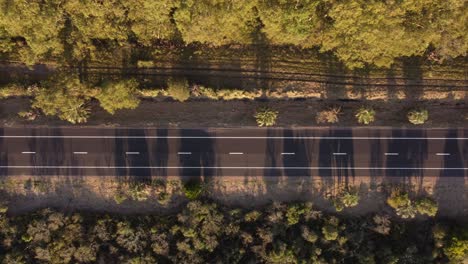 Aerial-top-down-shot-of-peaceful-empty-road-surrounded-by-forest-trees-lighting-at-sunset