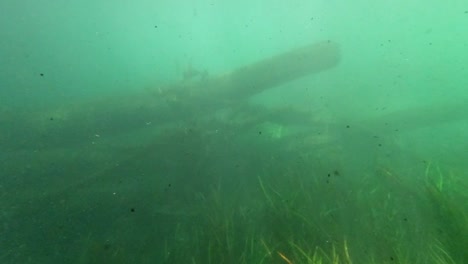 Unterwasser-Süßwassersee-Fluss-Frühlingslandschaft-Mit-Gras--Und-Algenreflexionen-Und-Sonnenstrahlen-Schwimmerbeine-Und-Schnorcheln-In-Florida-Ichetucknee-Flussfischen-Und-Alligatoren-4