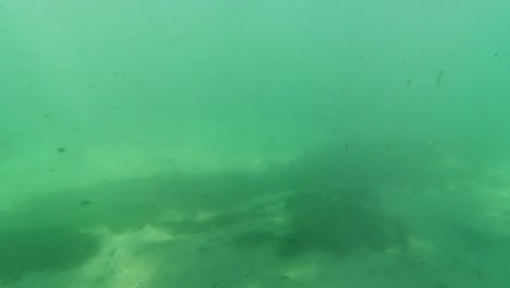 Unterwasser-Süßwassersee-Fluss-Frühlingslandschaft-Mit-Gras--Und-Algenreflexionen-Und-Sonnenstrahlen-Schwimmerbeine-Und-Schnorcheln-In-Florida-Ichetucknee-Flussfischen-Und-Alligatoren-3