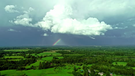 Grüne-Landschaft-Und-Dichtes-Dickicht-Vor-Malerischem-Himmel-Mit-Buntem-Regenbogen
