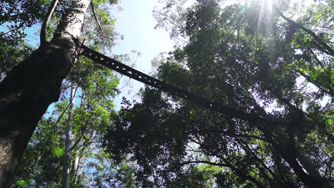 A-wide-shot-of-a-Canopy-bridge-of-rubberized-canvas-installed-across-the-road-in-the-Puthuthottam-rainforest,-Valparai