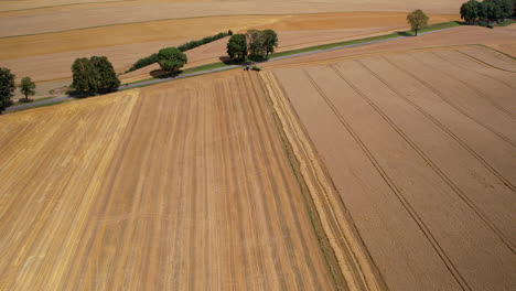 Aerial-backwards-shot-of-large-Wheat-Field-with-rural-avenue-and-trees-in-summer