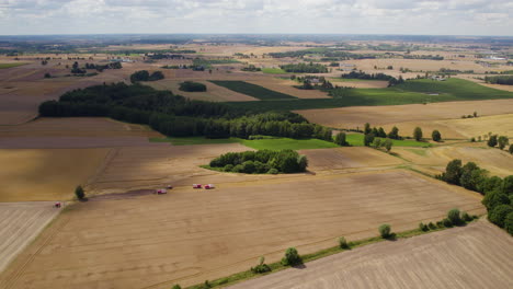 Aerial-View-Over-Wheat-Harvest-Field