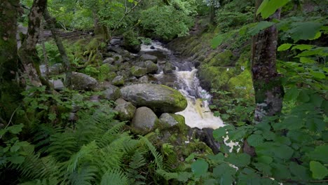 Malerischer-Blick-Auf-Einen-Bach-Oder-Fluss-Im-Wald-Im-Nationalpark-Lake-District,-Cumbria,-England-1
